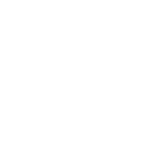 Icone WPP branco com fundo transparente
